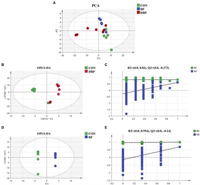 Effects of black soldier fly larvae as protein or fat sources on apparent nutrient digestibility, fecal microbiota, and metabolic profiles in beagle dogs